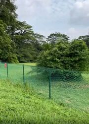Tanglin Hill (D10), Detached #589839441